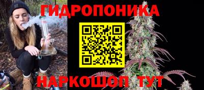 2c-b Новозыбков