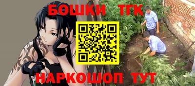 2c-b Новозыбков