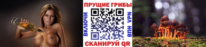магазин продажи наркотиков  Учалы  Галлюциногенные грибы Cubensis 