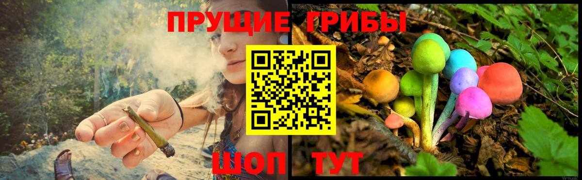 Псилоцибиновые грибы Cubensis Учалы